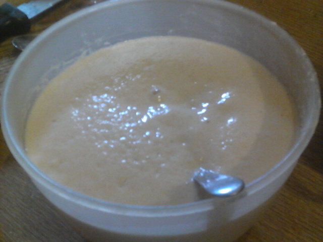 bowl of yeast and flours