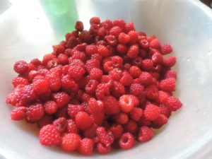 bowl of raspberries