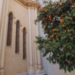 orange tree and church